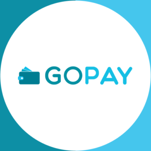 aplikasi e-wallet gopay