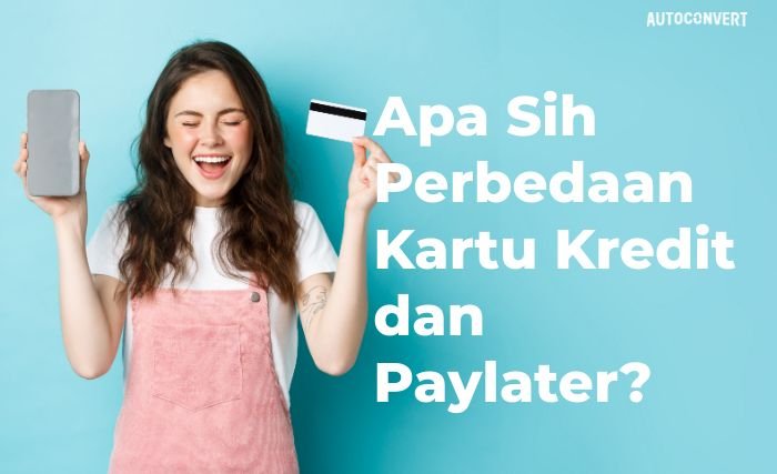 kartu kredit dan paylater