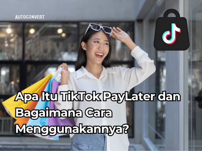 tiktok paylater