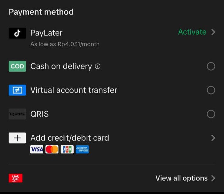 tiktok paylater