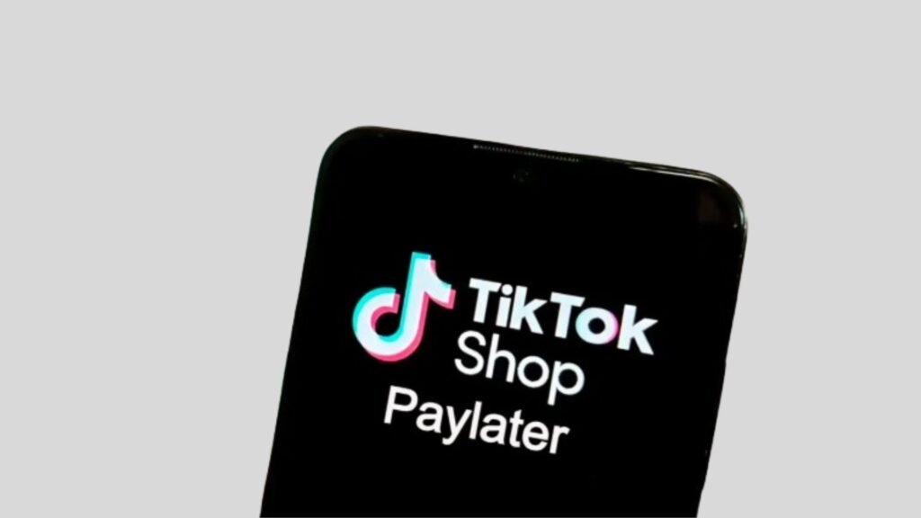 tiktok paylater