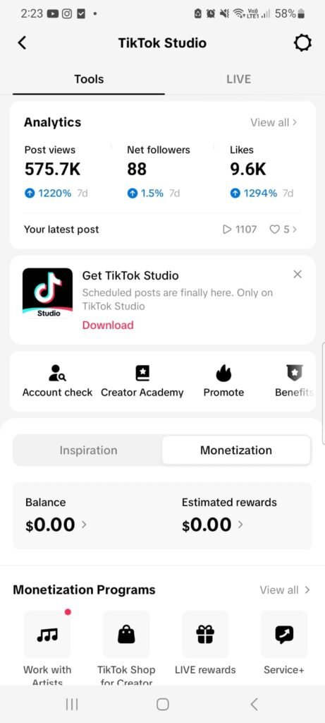 tiktok analytics